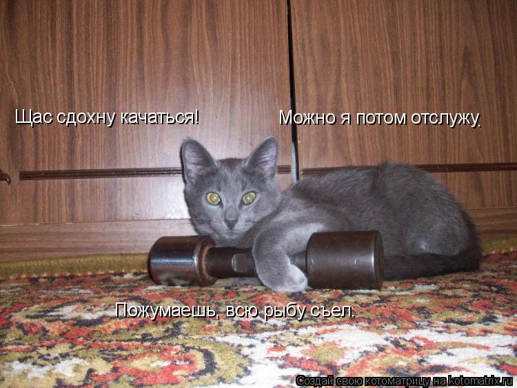 Котоматрица: Щас сдохну качаться! Можно я потом отслужу Пожумаешь, всю рыбу съел. .