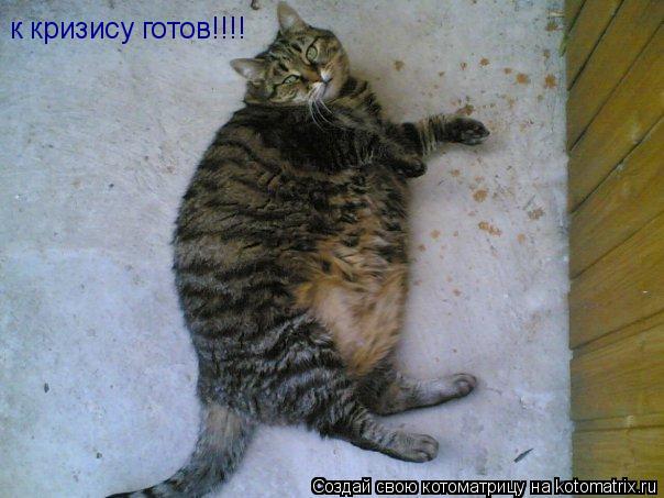 Котоматрица: к кризису готов!!!!