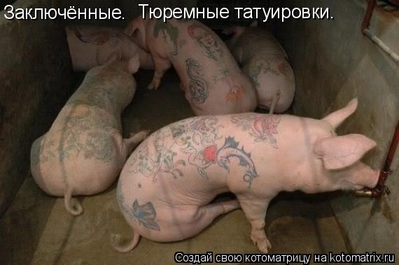 Котоматрица: Заключённые. Тюремные татуировки.