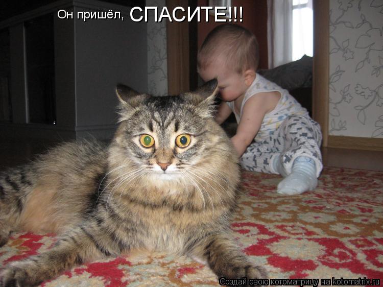 Он пришёл, СПАСИТЕ!!!... Котоматрица: Он пришёл, СПАСИТЕ!!!