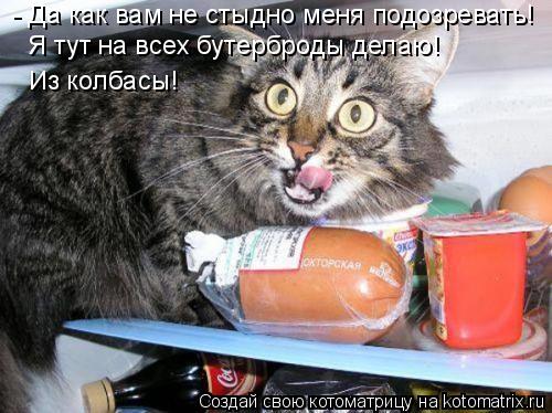 - Да как вам не стыдно меня подозревать! Я тут на всех бутерброды делаю! Из колбасы!... Котоматрица: - Да как вам не стыдно меня подозревать! Я тут на всех бутерброды делаю! Из колбасы!