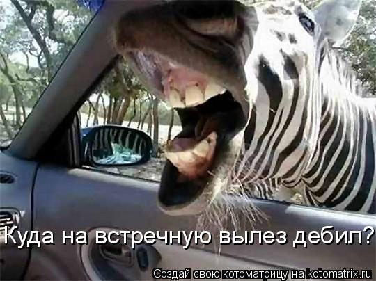 Куда на встречную вылез дебил?... Котоматрица: Куда на встречную вылез дебил?