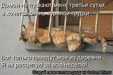 Котоматрица: Домой не пускают меня третьи сутки, а хочется очень куриной грудки... Вот только приедут мои из деревни... Я их расцелую за всю неделю!