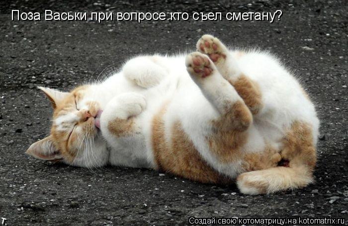 Поза Васьки при вопросе:кто съел сметану?... Котоматрица: Поза Васьки при вопросе:кто съел сметану?