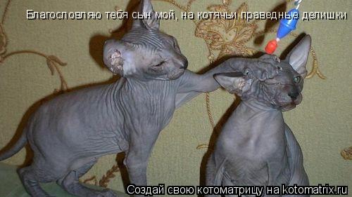 Благословляю тебя сын мой, на котячьи праведные делишки... Котоматрица: Благословляю тебя сын мой, на котячьи праведные делишки