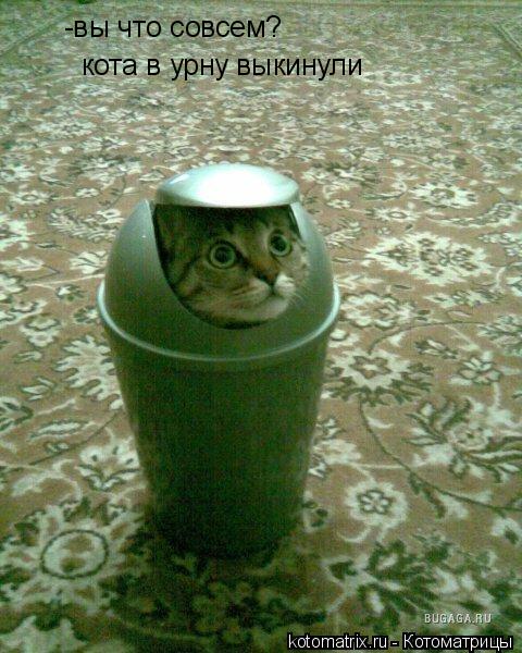 -вы что совсем? кота в урну выкинули... Котоматрица: -вы что совсем? кота в урну выкинули