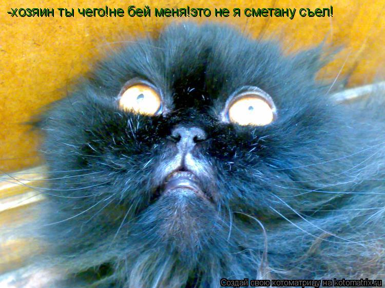 -хозяин ты чего!не бей меня!это не я сметану съел!... Котоматрица: -хозяин ты чего!не бей меня!это не я сметану съел!