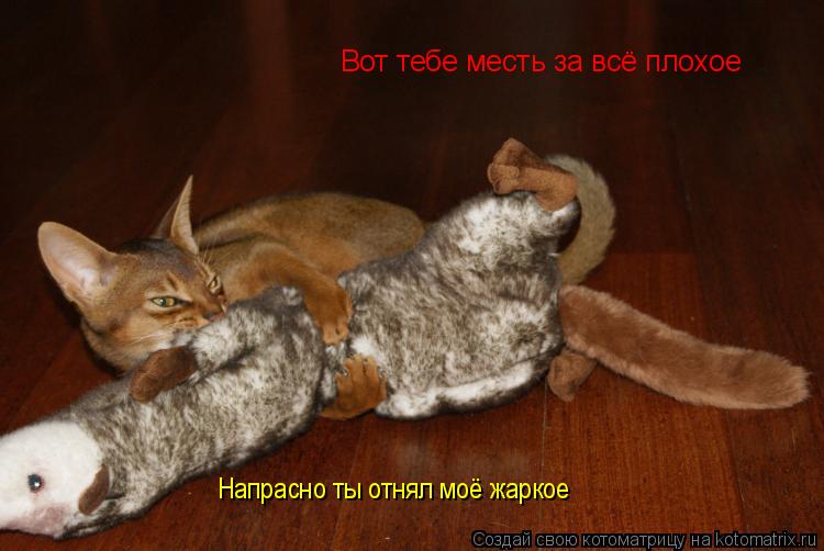 Вот тебе месть за всё плохое Напрасно ты отнял моё жаркое... Котоматрица: Вот тебе месть за всё плохое Напрасно ты отнял моё жаркое