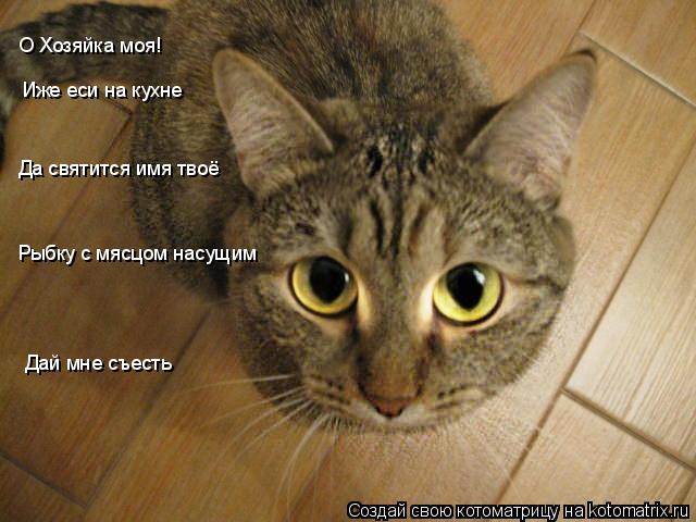 О Хозяйка моя! Иже еси на кухне Да святится имя твоё Рыбку с мясцом насущим Дай мне съесть... Котоматрица: О Хозяйка моя! Иже еси на кухне Да святится имя твоё Рыбку с мясцом насущим Дай мне съесть