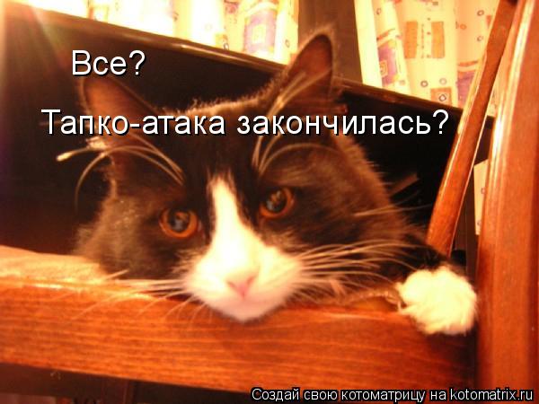 Все? Тапко-атака закончилась?... Котоматрица: Все? Тапко-атака закончилась?