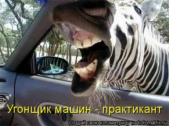 Котоматрица: Угонщик машин - практикант