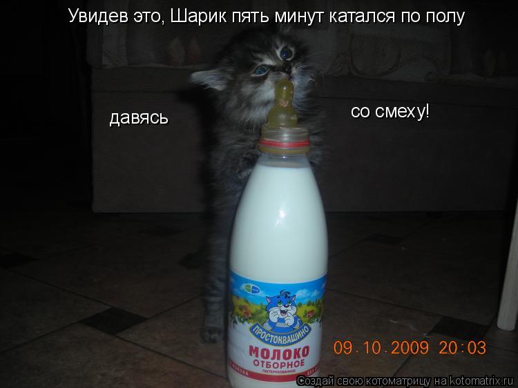 Котоматрица: давясь Увидев это, Шарик пять минут катался по полу со смеху!