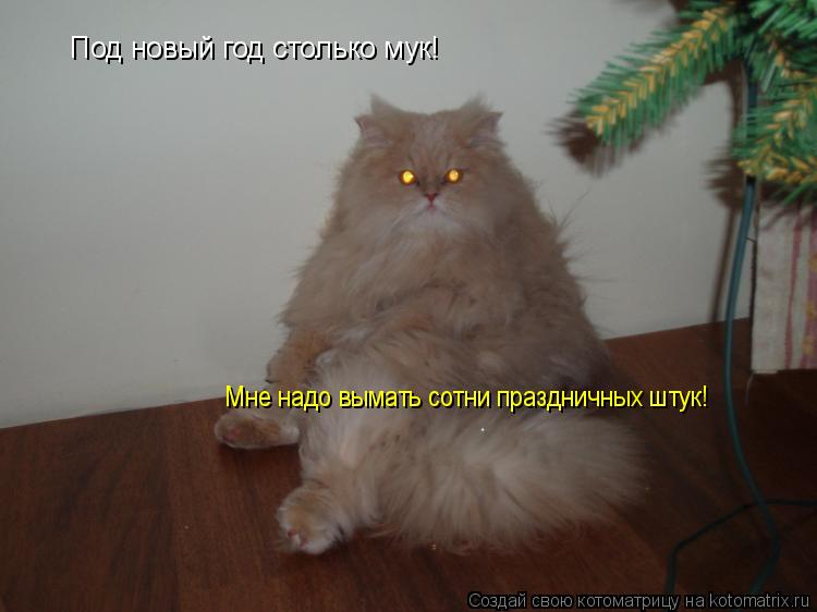 Котоматрица: Под новый год столько мук! Мне надо вымать сотни праздничных штук!