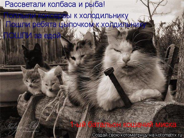 Рассветали колбаса и рыба! Поплыли консервы к холодильнику Пошли ребята цыпочком к холдильнику ПОШЛИ ... Котоматрица: Рассветали колбаса и рыба! Поплыли консервы к холодильнику Пошли ребята цыпочком к холдильнику ПОШЛИ за едой 1-ый батальон кошачий миска