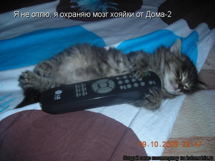 Я не сплю, я охраняю мозг хояйки от Дома-2... Котоматрица: Я не сплю, я охраняю мозг хояйки от Дома-2