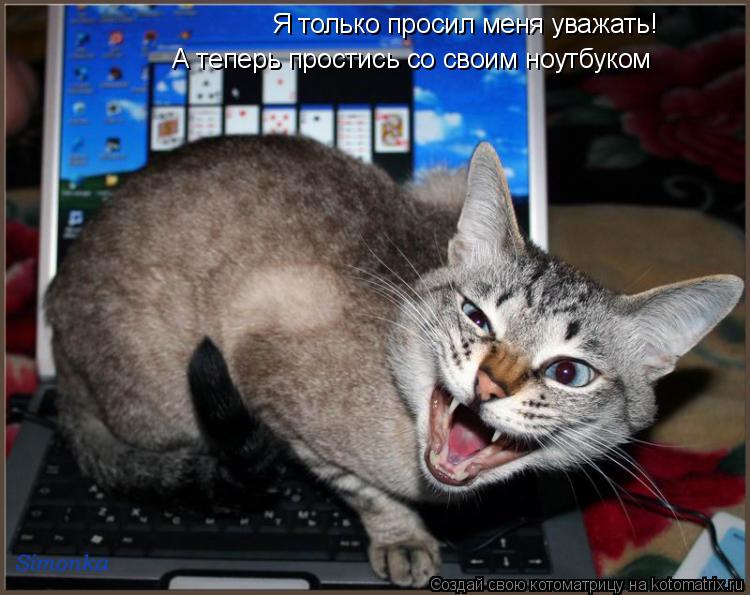 Я только просил меня уважать! А теперь простись со своим ноутбуком... Котоматрица: Я только просил меня уважать! А теперь простись со своим ноутбуком