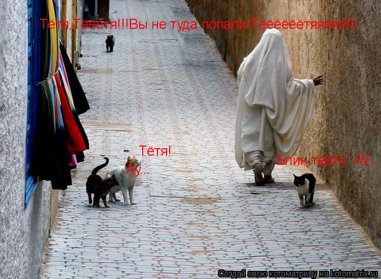 Тётя,Тёёётя!!!Вы не туда попали!Тёёёёёётяяяяя!!! Тётя! Ау... Блин тёётя АУ...... Котоматрица: Тётя,Тёёётя!!!Вы не туда попали!Тёёёёёётяяяяя!!! Тётя! Ау... Блин тёётя АУ...