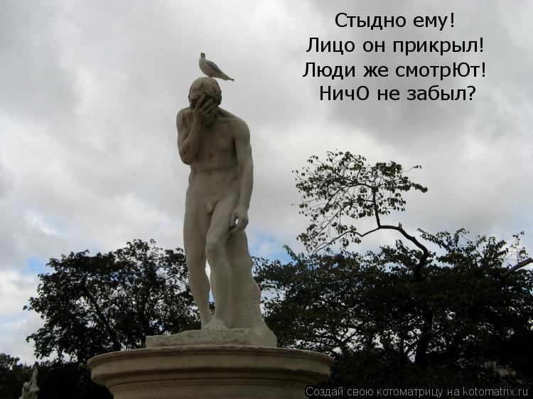 Стыдно ему! Лицо он прикрыл! Люди же смотрЮт! НичО не забыл?... Котоматрица: Стыдно ему! Лицо он прикрыл! Люди же смотрЮт! НичО не забыл?