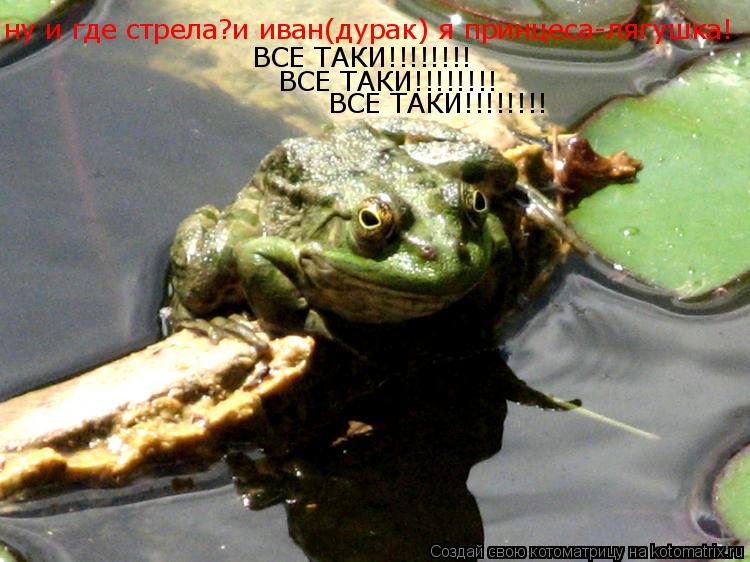 ну и где стрела?и иван(дурак) я принцеса-лягушка! ВСЕ ТАКИ!!!!!!!! ВСЕ ТАКИ!!!!!!!! ВСЕ ТАКИ!!!!!!!!... Котоматрица: ну и где стрела?и иван(дурак) я принцеса-лягушка! ВСЕ ТАКИ!!!!!!!! ВСЕ ТАКИ!!!!!!!! ВСЕ ТАКИ!!!!!!!!
