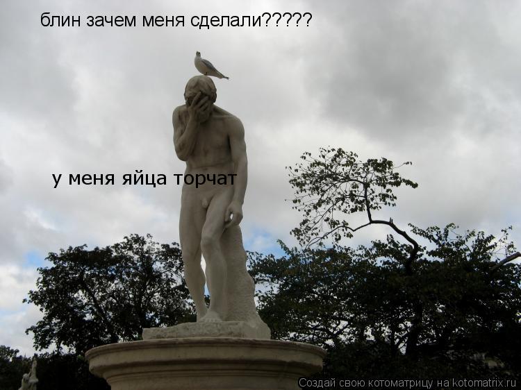 блин зачем меня сделали????? у меня яйца торчат... Котоматрица: блин зачем меня сделали????? у меня яйца торчат