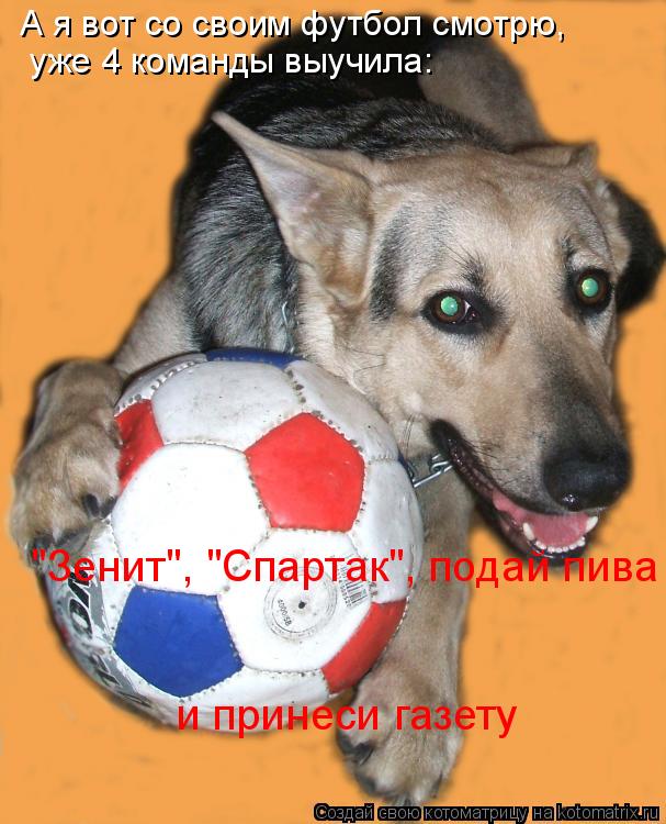 А я вот со своим футбол смотрю, уже 4 команды выучила: "Зенит", "Спартак", подай пива и принеси г... Котоматрица: А я вот со своим футбол смотрю, уже 4 команды выучила: "Зенит", "Спартак", подай пива и принеси газету