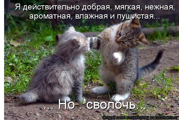 ... Но — сволочь... Я действительно добрая, мягкая, нежная, ароматная, влажная и пушистая...... Котоматрица: ... Но — сволочь... Я действительно добрая, мягкая, нежная, ароматная, влажная и пушистая...