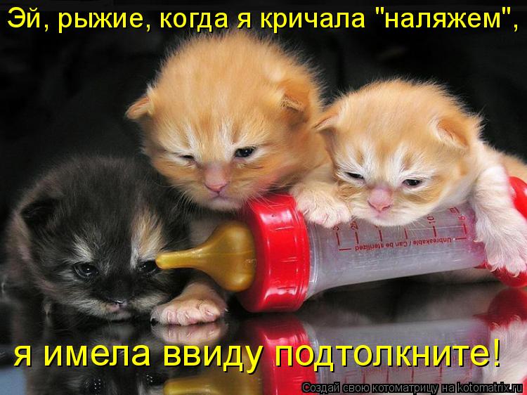 Котоматрица: Эй, рыжие, когда я кричала "наляжем", я имела ввиду подтолкните!