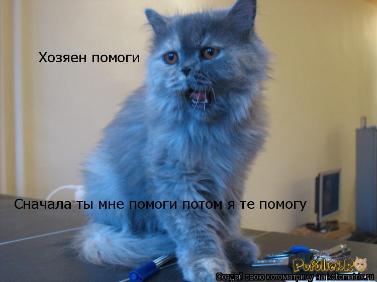 Хозяен помоги Сначала ты мне помоги потом я те помогу Сначала ты мне помоги потом я те помогу... Котоматрица: Хозяен помоги Сначала ты мне помоги потом я те помогу Сначала ты мне помоги потом я те помогу