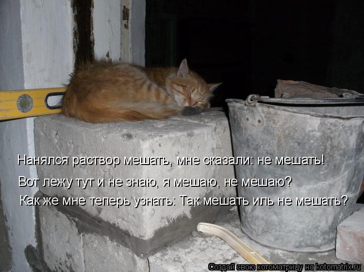 Котоматрица: Как же мне теперь узнать: Так мешать иль не мешать? Вот лежу тут и не знаю, я мешаю, не мешаю? Нанялся раствор мешать, мне сказали: не мешать!