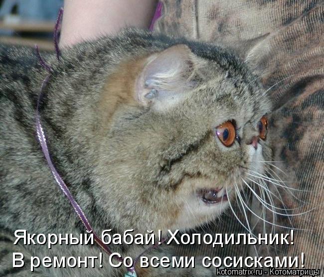 Котоматрица: Якорный бабай! Холодильник!  В ремонт! Со всеми сосисками!