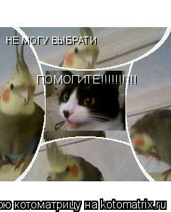 Котоматрица: НЕ МОГУ ВЫБРАТИ НЕ МОГУ ВЫБРАТИ ПОМОГИТЕ!!!!!!!!!! ПОМОГИТЕ!!!!!!!!!! Каво выбрати????