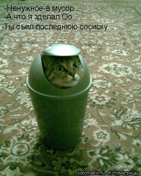 Котоматрица: -Ненужное-в мусор... -А что я зделал Оо... -Ты съел последнюю сосиску ...