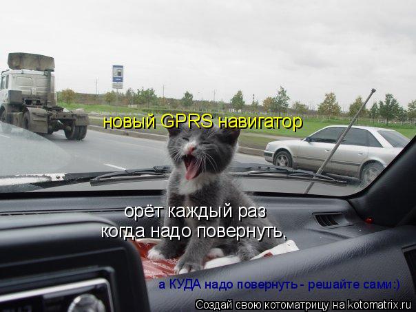 Котоматрица: новый GPRS навигатор орёт каждый раз а КУДА надо повернуть - решайте сами:) когда надо повернуть,