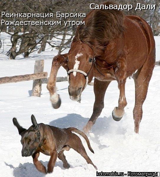 Сальвадор Дали Реинкарнация Барсика Рождественским утром... Котоматрица: Сальвадор Дали Реинкарнация Барсика Рождественским утром