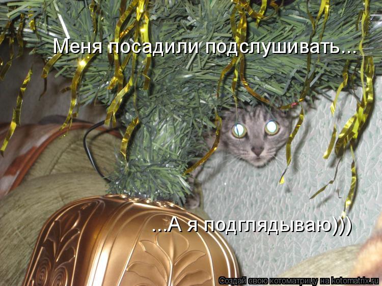 Котоматрица: Меня посадили подслушивать... ...А я подглядываю)))