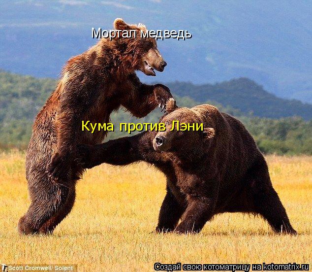 Котоматрица: Мортал медведь Кума против Лэни