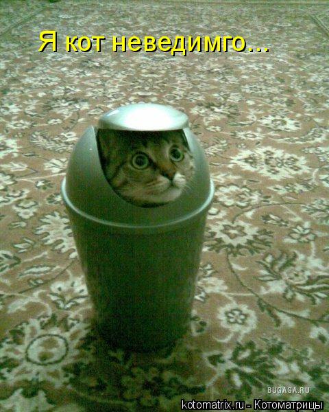 Котоматрица: Я кот неведимго...