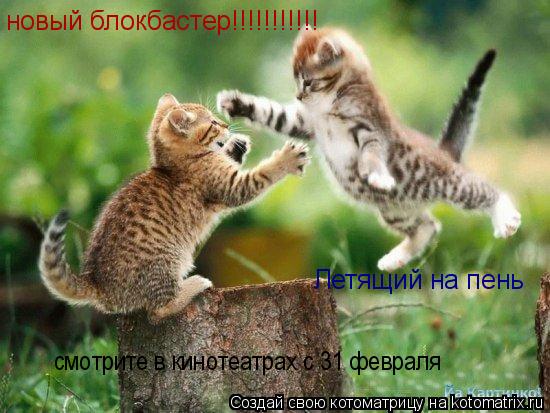 Котоматрица: новый блокбастер!!!!!!!!!!!    Летящий на пень смотрите в кинотеатрах с 31 февраля