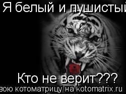 Котоматрица: Я белый и пушистый! Кто не верит???