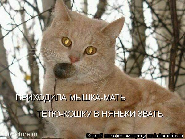 Котоматрица: ПРИХОДИЛА МЫШКА-МАТЬ ТЕТЮ-КОШКУ В НЯНЬКИ ЗВАТЬ