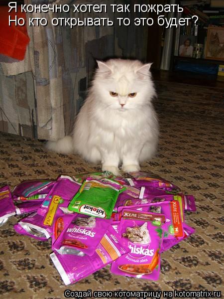 Котоматрица: Я конечно хотел так пожрать Но кто открывать то это будет?
