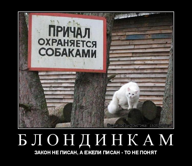 Котоматрица: БЛОНДИНКАМ ЗАКОН НЕ ПИСАН, А ЕЖЕЛИ ПИСАН - ТО НЕ ПОНЯТ