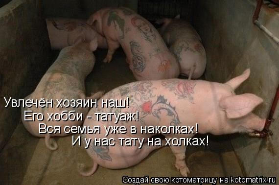 Увлечён хозяин наш! Его хобби - татуаж! Вся семья уже в наколках! И у нас тату на холках!... Котоматрица: Увлечён хозяин наш! Его хобби - татуаж! Вся семья уже в наколках! И у нас тату на холках!