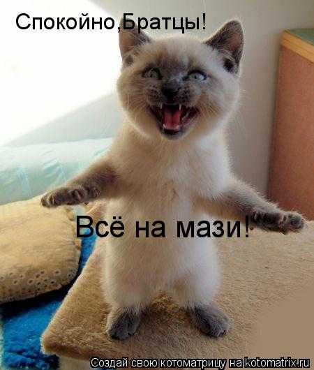 Котоматрица: Спокойно,Братцы! Всё на мази!