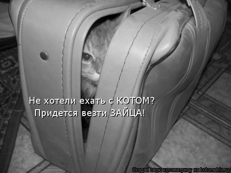 Не хотели ехать с КОТОМ? Придется везти ЗАЙЦА!... Котоматрица: Не хотели ехать с КОТОМ? Придется везти ЗАЙЦА!
