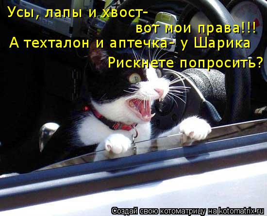 Усы, лапы и хвост- вот мои права!!! А техталон и аптечка- у Шарика Рискнете попросить?... Котоматрица: Усы, лапы и хвост- вот мои права!!! А техталон и аптечка- у Шарика Рискнете попросить?