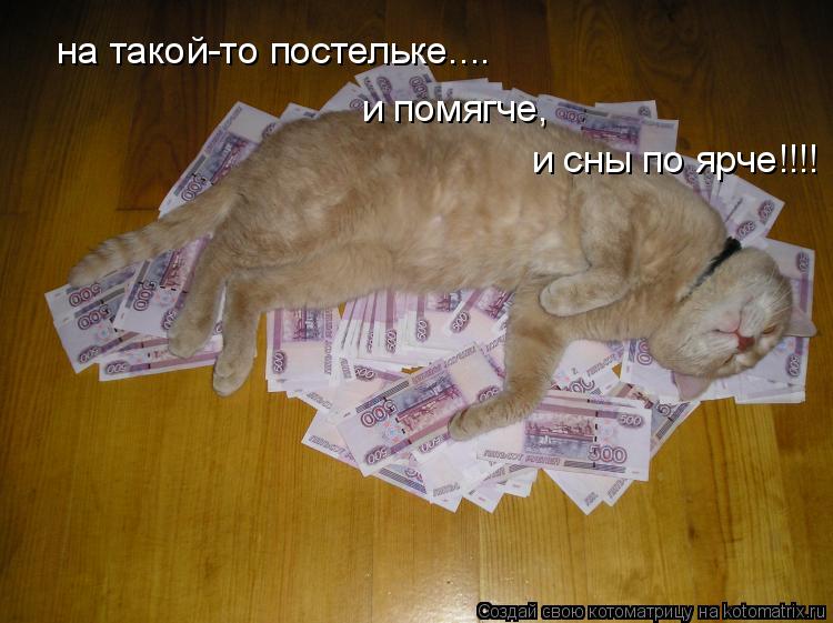 Котоматрица: на такой-то постельке....  и помягче,  и сны по ярче!!!!