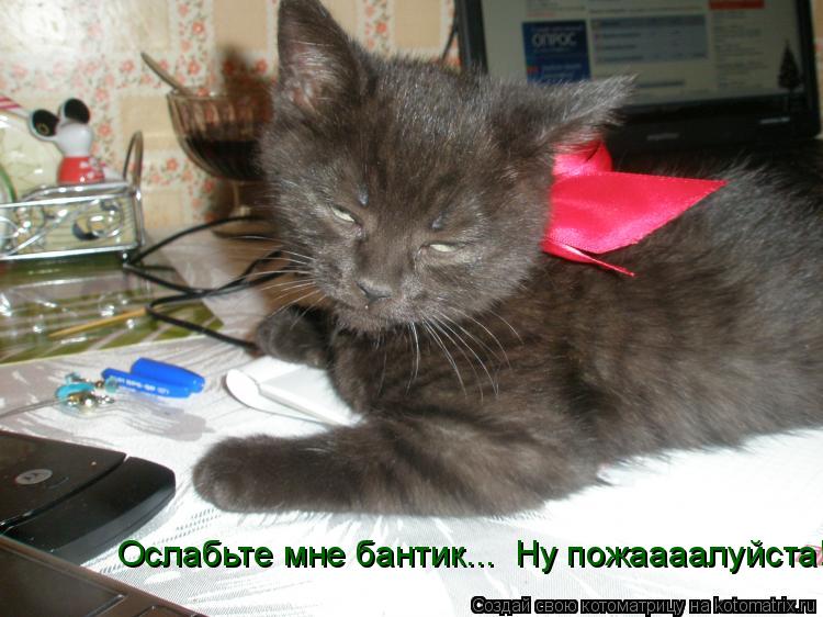 Котоматрица: Ослабьте мне бантик...  Ну пожаааалуйста!