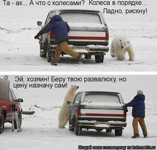 Котоматрица: Та - ак... А что с колесами?  Колеса в порядке... Ладно, рискну! Эй, хозяин! Беру твою развалюху, но цену назначу сам!