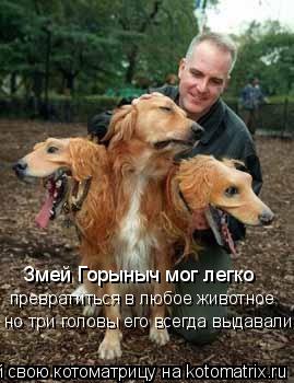 Котоматрица: Змей Горыныч мог легко превратиться в любое животное но три головы его всегда выдавали